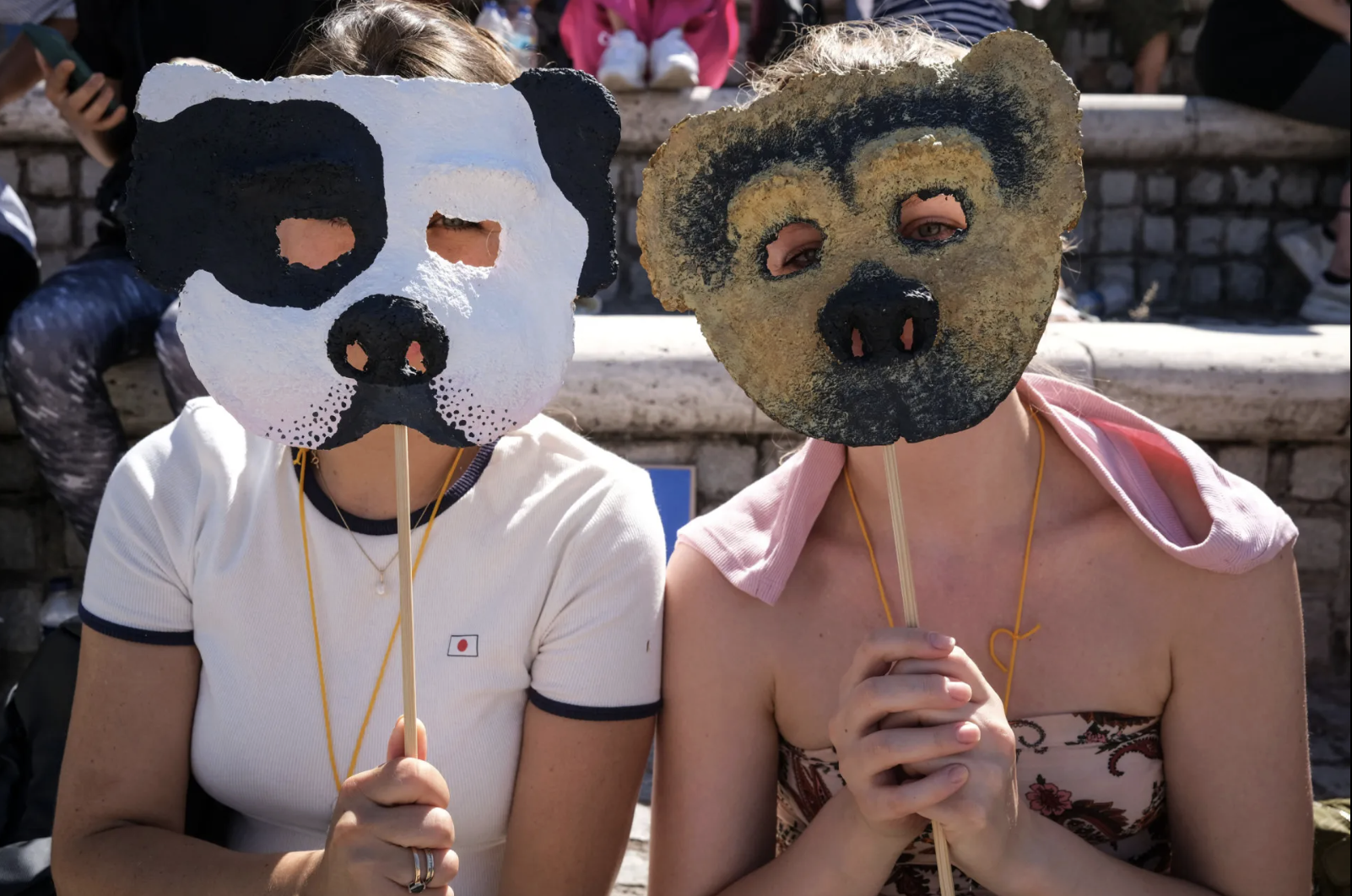 noticias ao minuto - turquia aprova controversa lei que levará ao abate de milhares de cães