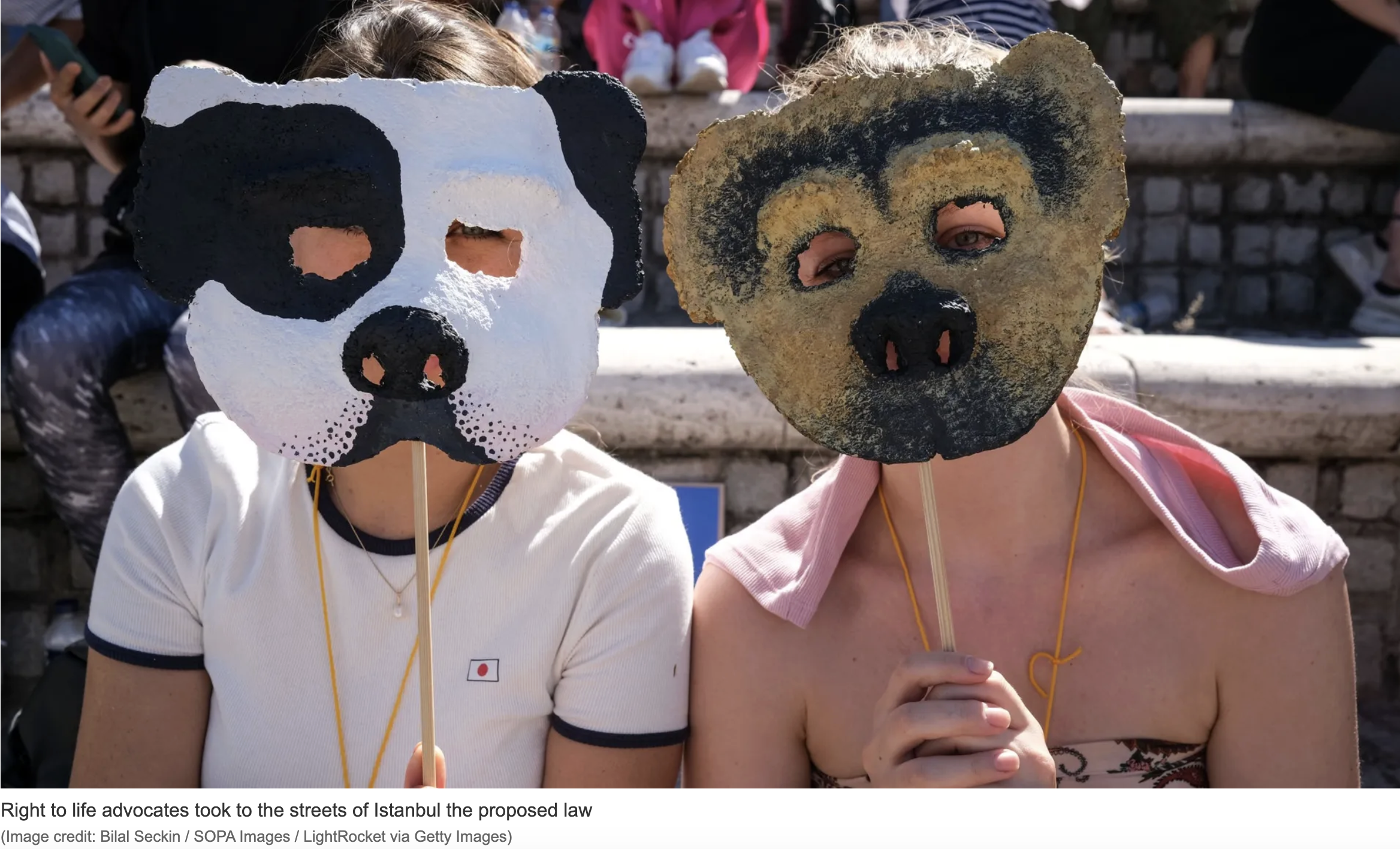 the week - turkey divided over 'massacre law' to combat stray dogs