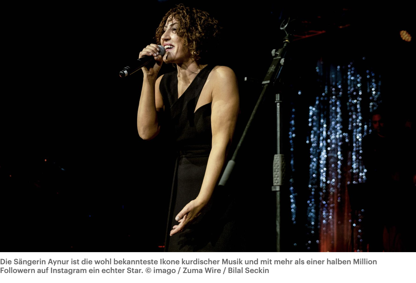 deutschland funk kultur - mit musik die sprache retten