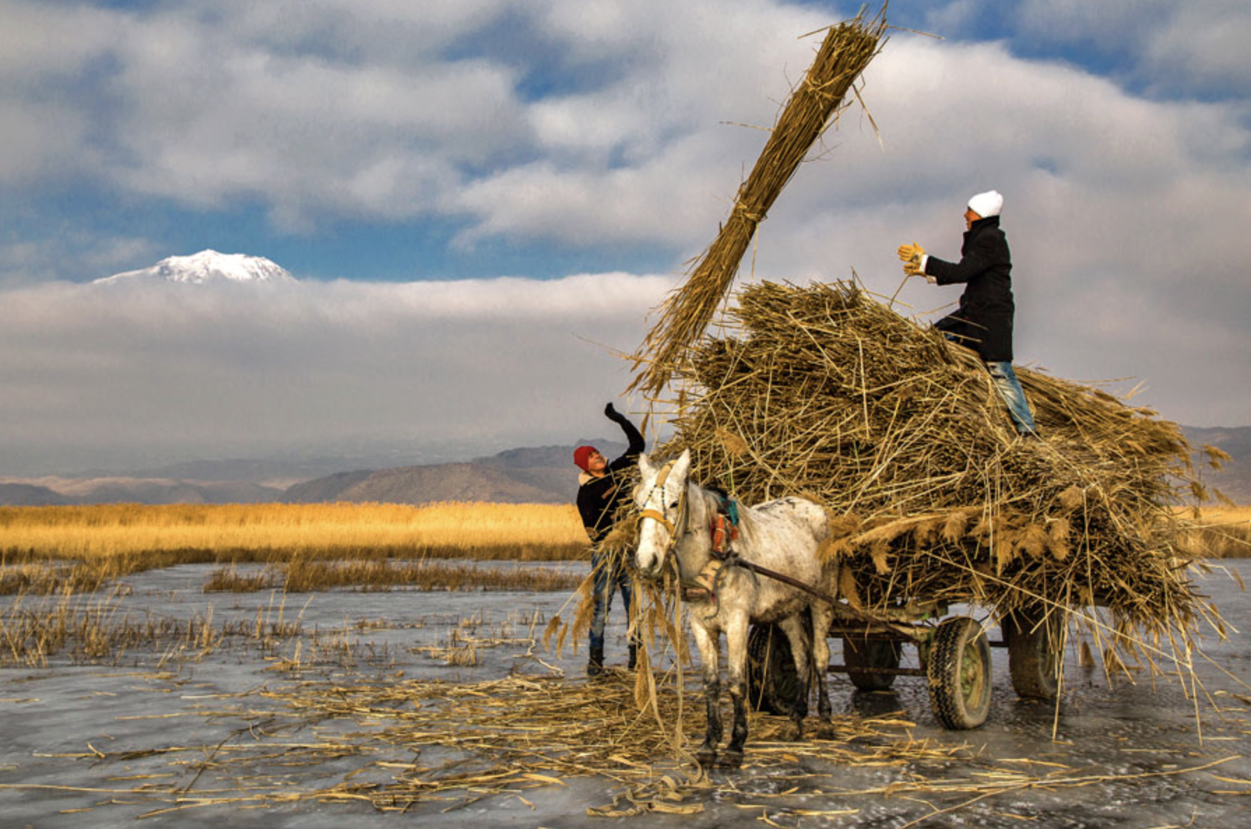 postseyyah - ağrı dağı’nın sazlıkları, doğubayazıt